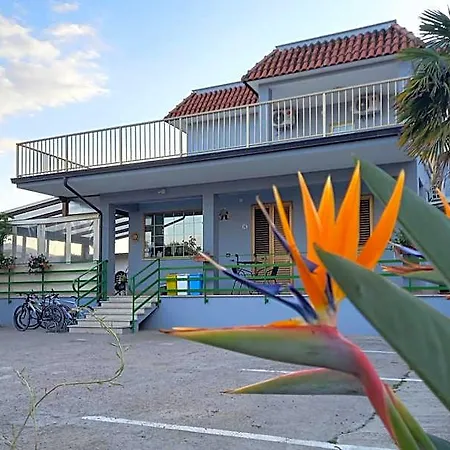 Il Tulipano Formia
